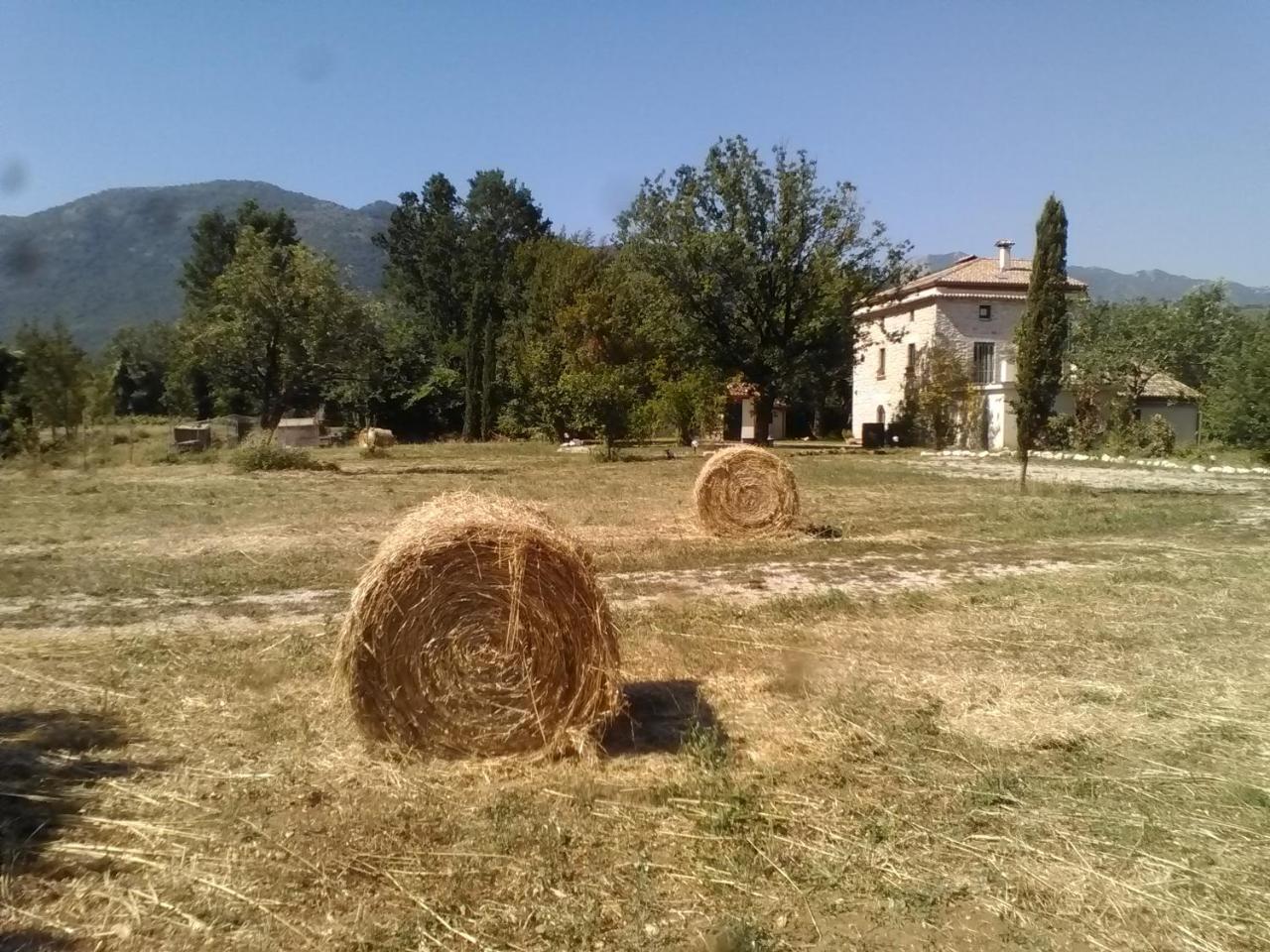 Casina Di Pietra Villa San Giorgio a Liri Bagian luar foto