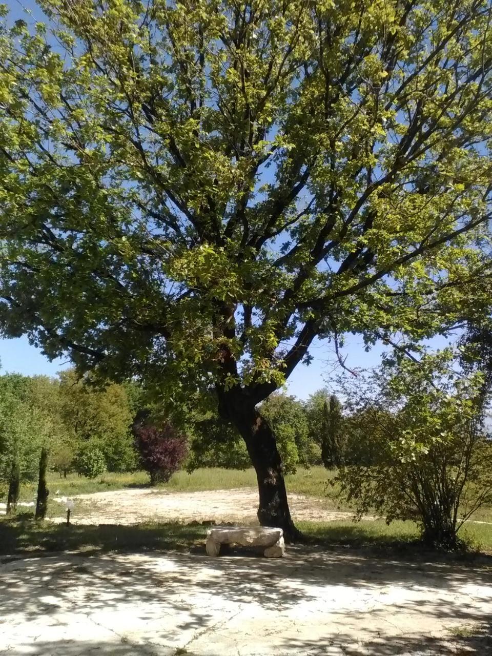 Casina Di Pietra Villa San Giorgio a Liri Bagian luar foto